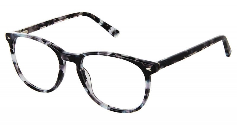 Grey Tortoise