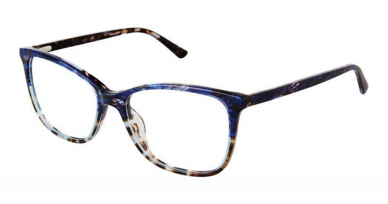 Blue Tortoise