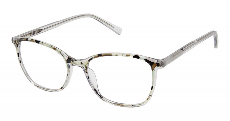 Grey Tortoise